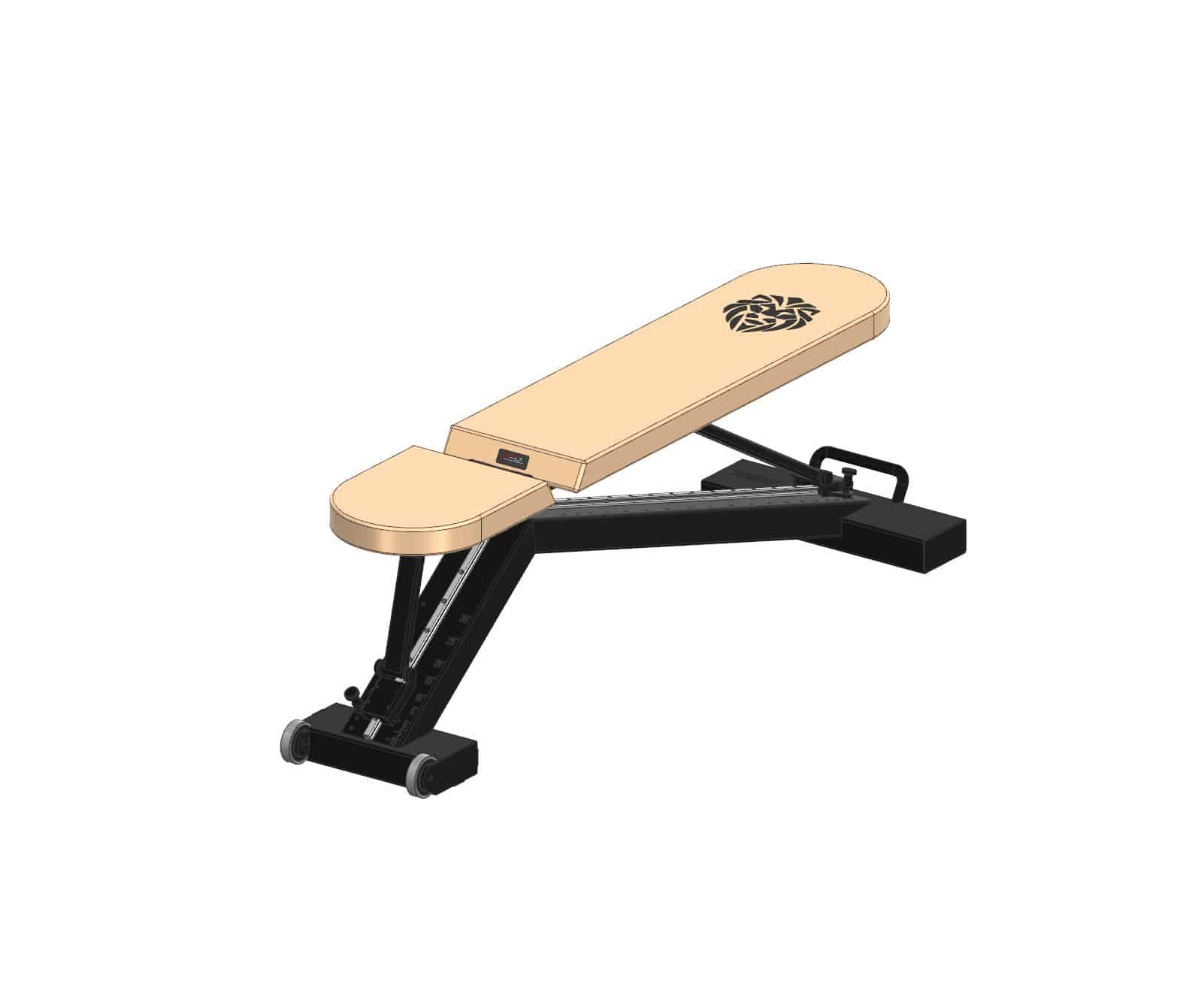 Lions gym bench iso Y+15